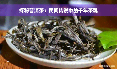 探秘普洱茶：民间传说中的千年茶魂