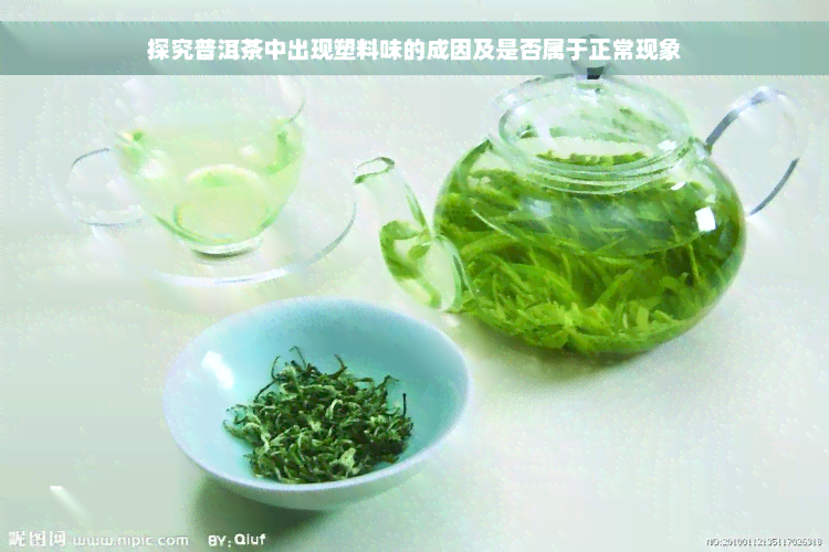 探究普洱茶中出现塑料味的成因及是否属于正常现象