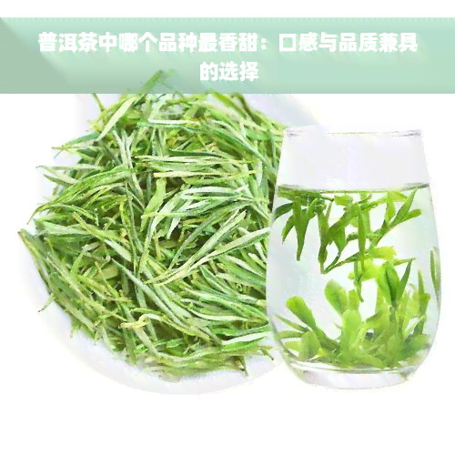 普洱茶中哪个品种最香甜：口感与品质兼具的选择