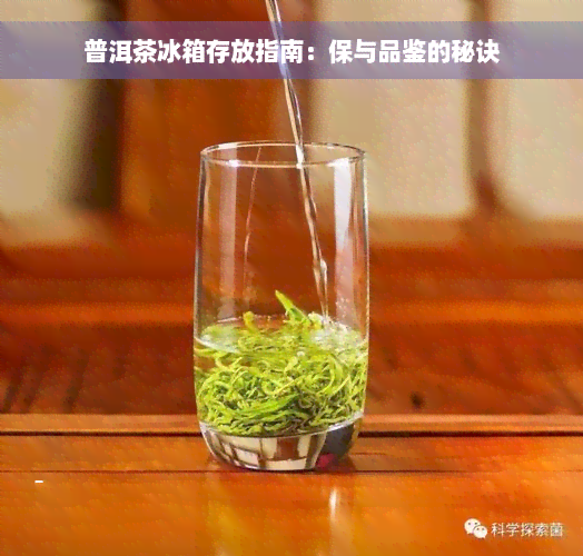 普洱茶冰箱存放指南：保与品鉴的秘诀