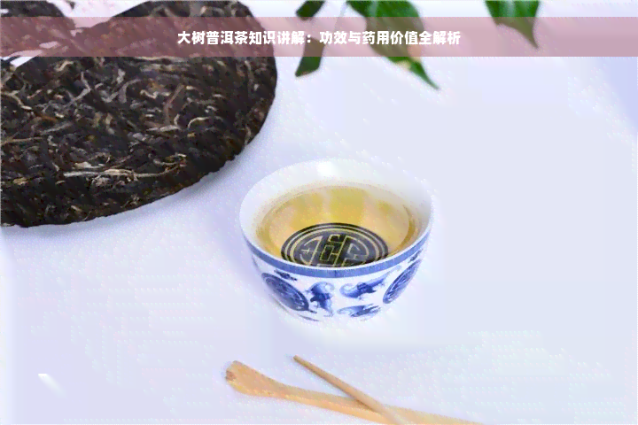 大树普洱茶知识讲解：功效与药用价值全解析