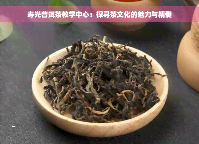 寿光普洱茶教学中心：探寻茶文化的魅力与精髓