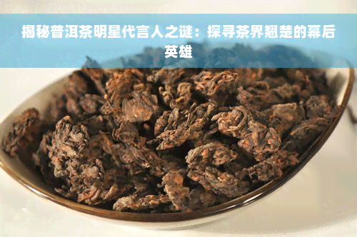 揭秘普洱茶明星代言人之谜：探寻茶界翘楚的幕后英雄