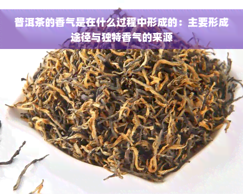 普洱茶的香气是在什么过程中形成的：主要形成途径与独特香气的来源