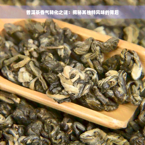 普洱茶香气转化之谜：揭秘其独特风味的背后