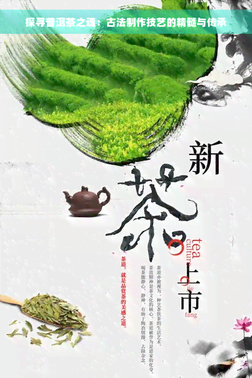 探寻普洱茶之魂：古法制作技艺的精髓与传承