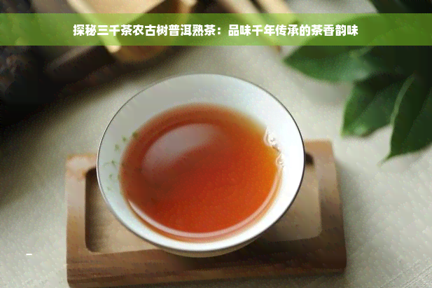 探秘三千茶农古树普洱熟茶：品味千年传承的茶香韵味