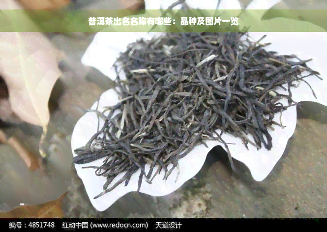 普洱茶出名名称有哪些：品种及图片一览