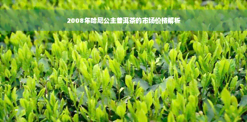 2008年哈尼公主普洱茶的市场价格解析