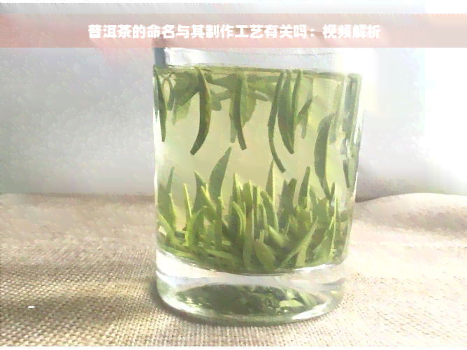 普洱茶的命名与其制作工艺有关吗：视频解析