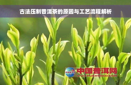 古法压制普洱茶的原因与工艺流程解析