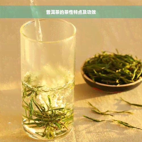 普洱茶的茶性特点及功效