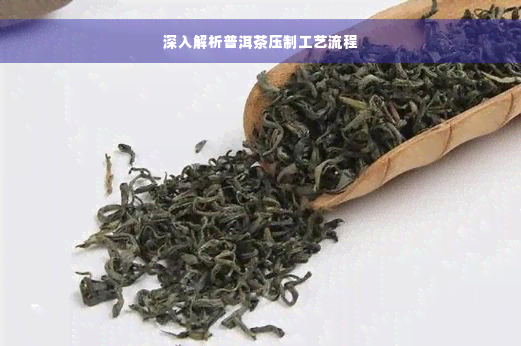 深入解析普洱茶压制工艺流程