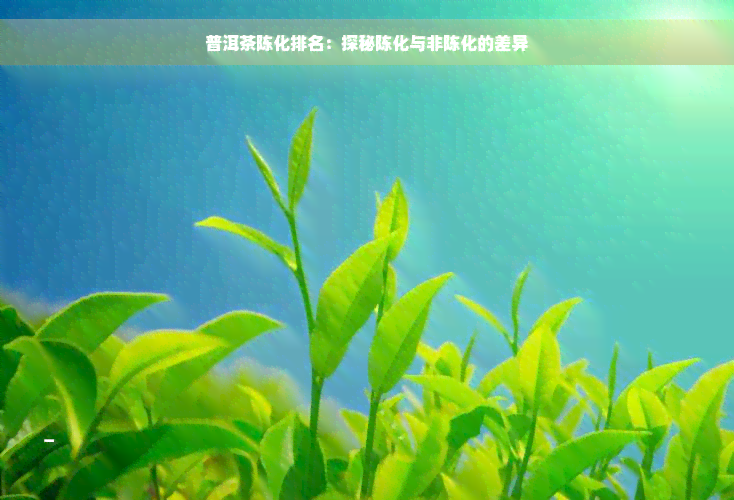 普洱茶陈化排名：探秘陈化与非陈化的差异