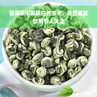 普洱茶中发现白色虫子，是否适宜饮用引人关注