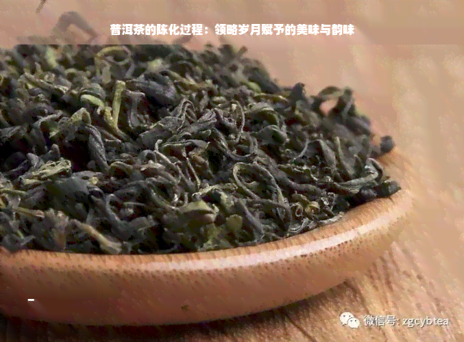 普洱茶的陈化过程：领略岁月赋予的美味与韵味