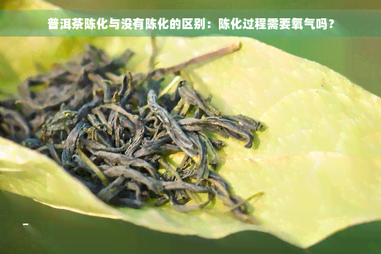 普洱茶陈化与没有陈化的区别：陈化过程需要氧气吗？