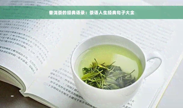 普洱茶的经典语录：茶语人生经典句子大全