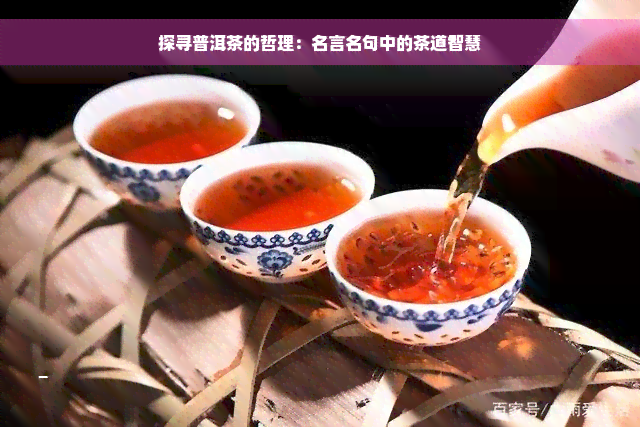 探寻普洱茶的哲理：名言名句中的茶道智慧