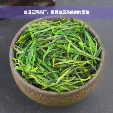 普洱云河茶厂：探寻普洱茶的制作奥秘