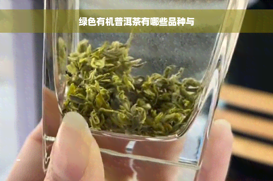 绿色有机普洱茶有哪些品种与