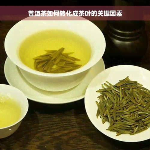 普洱茶如何转化成茶叶的关键因素