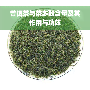 普洱茶与茶多酚含量及其作用与功效