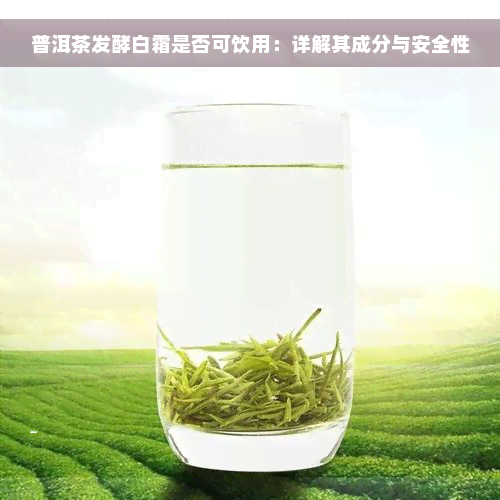 普洱茶发酵白霜是否可饮用：详解其成分与安全性