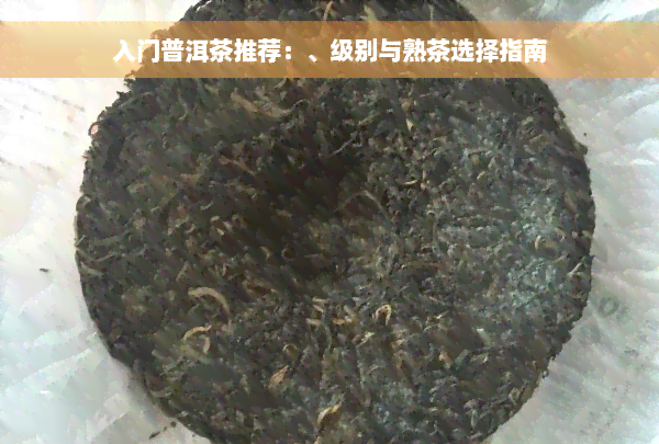 入门普洱茶推荐：、级别与熟茶选择指南