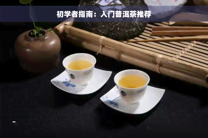 初学者指南：入门普洱茶推荐