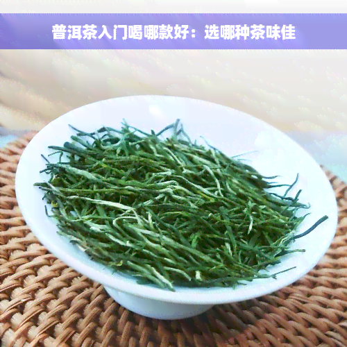 普洱茶入门喝哪款好：选哪种茶味佳