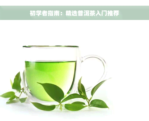 初学者指南：精选普洱茶入门推荐