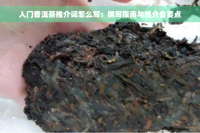 入门普洱茶推介词怎么写：撰写指南与推介会要点