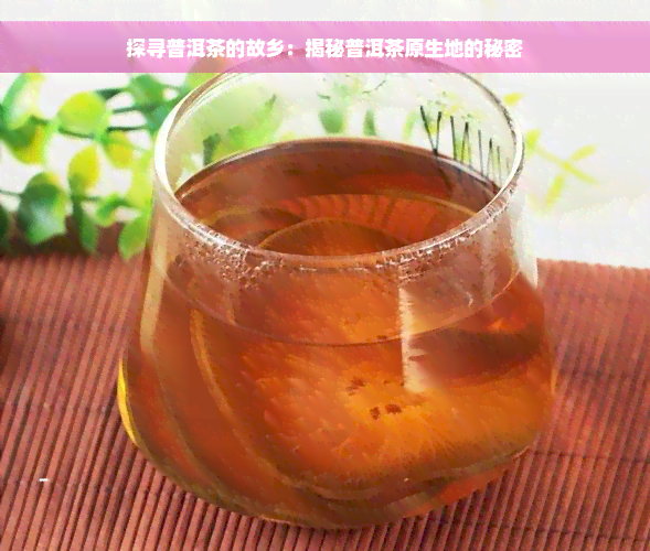 探寻普洱茶的故乡：揭秘普洱茶原生地的秘密