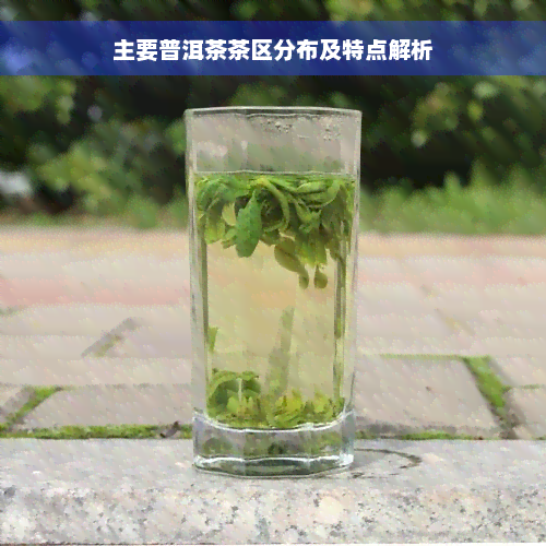 主要普洱茶茶区分布及特点解析