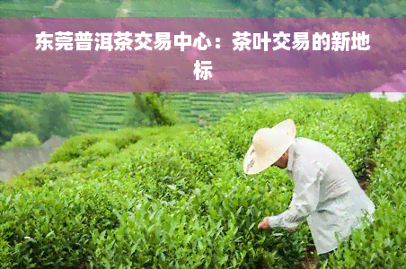 东莞普洱茶交易中心：茶叶交易的新地标