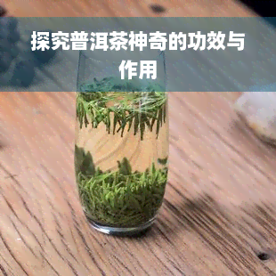 探究普洱茶神奇的功效与作用