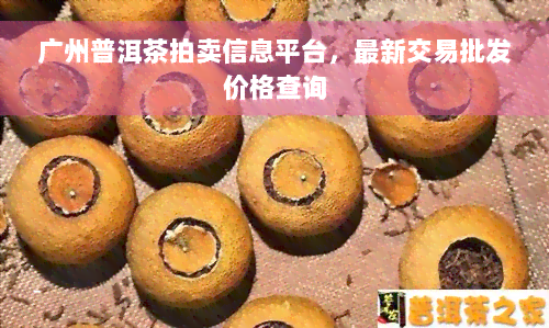 广州普洱茶拍卖信息平台，最新交易批发价格查询