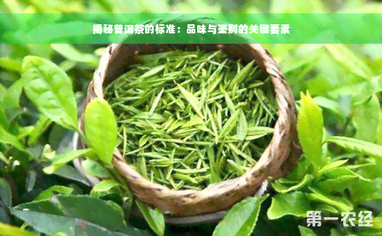 揭秘普洱茶的标准：品味与鉴别的关键要素