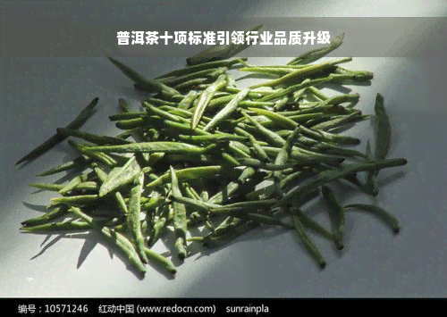 普洱茶十项标准引领行业品质升级