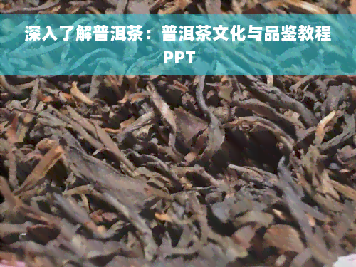 深入了解普洱茶：普洱茶文化与品鉴教程PPT