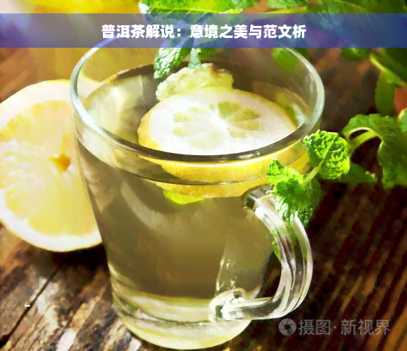 普洱茶解说：意境之美与范文析