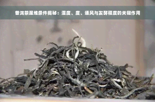 普洱茶渥堆条件揭秘：湿度、度、通风与发酵程度的关键作用