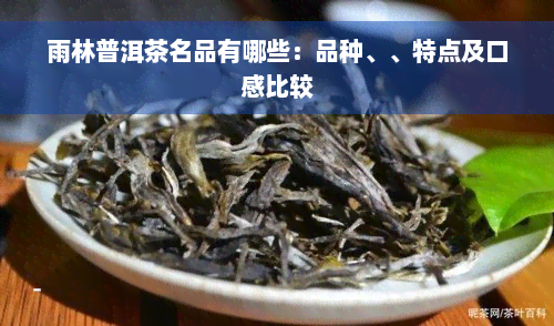 雨林普洱茶名品有哪些：品种、、特点及口感比较