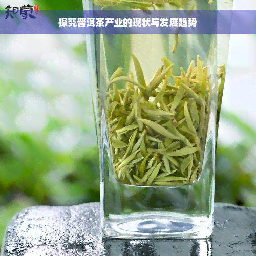 探究普洱茶产业的现状与发展趋势