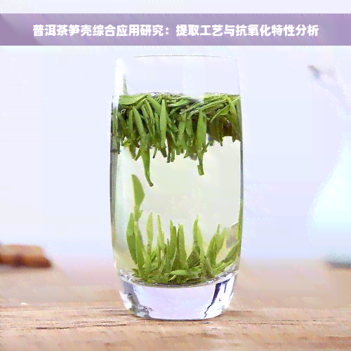 普洱茶笋壳综合应用研究：提取工艺与抗氧化特性分析