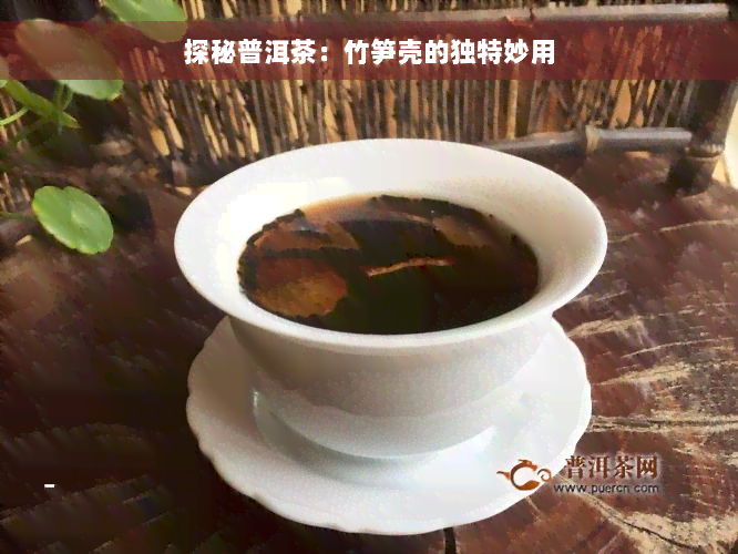 探秘普洱茶：竹笋壳的独特妙用