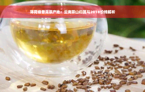 薄荷塘普洱茶产地：云南茶山归属与2018价格解析