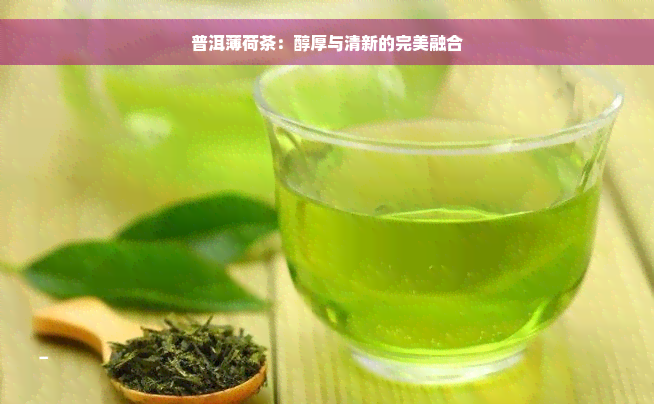 普洱薄荷茶：醇厚与清新的完美融合