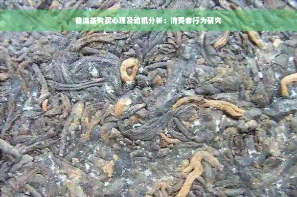 普洱茶购买心理及动机分析：消费者行为研究